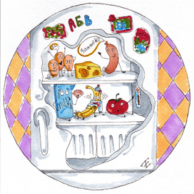 Жизнь в холодильнике