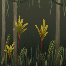 Тропический лес