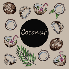 Акварельный сет из кокосов на коричневоm фоне.