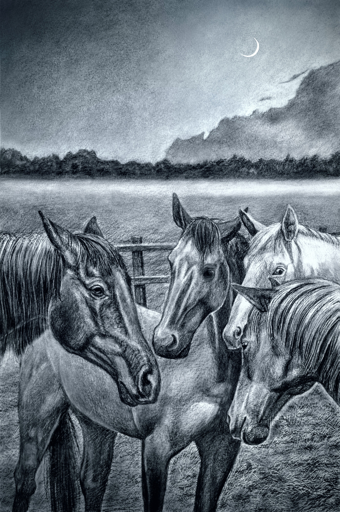 Иллюстрация к рассказу Л. Н. Толстого "Холстомер"