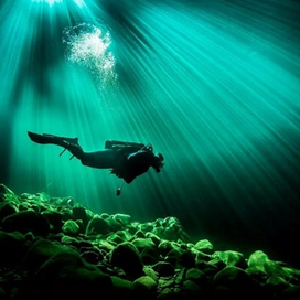   Все самое необходимое и полезное для подводного плавания на ресурсе «DIVINGPLACE»