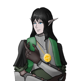 "Лунный эльф - жрец"