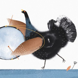 Глухарь и барабан