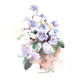 этюд фиалки