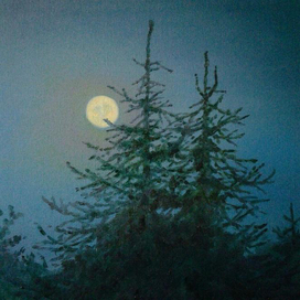 Тихий вечер