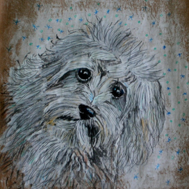 Собака бывает кусачей...