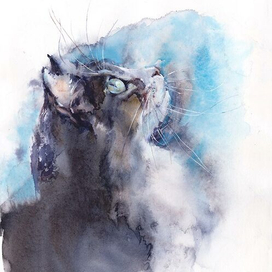 Голубой котик