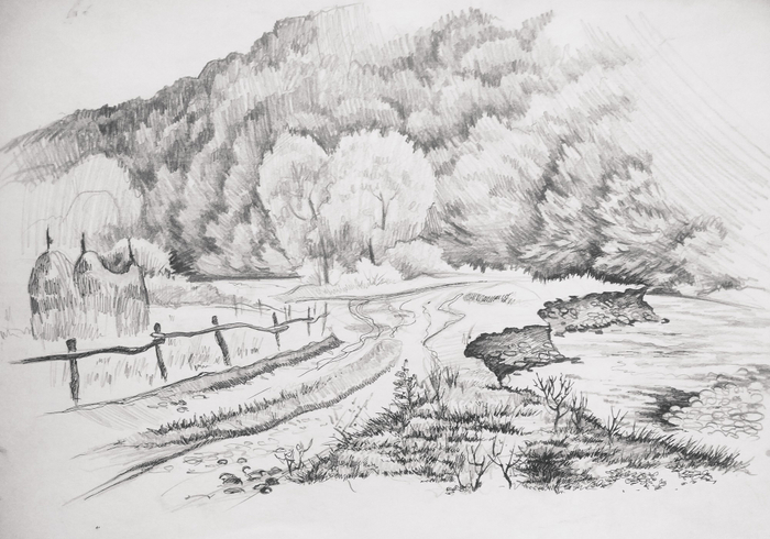 В предгорьях Карпат.