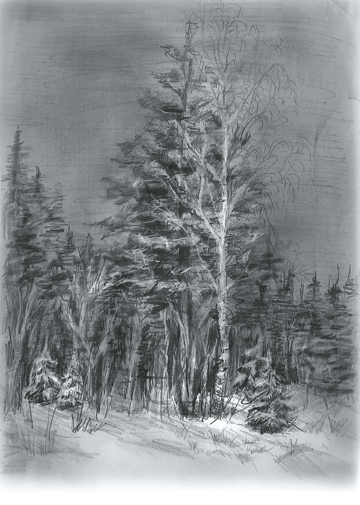 Вечерний свет