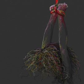 Первая и последняя