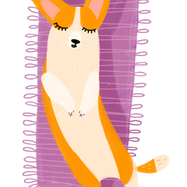 Спящий вельш-корги