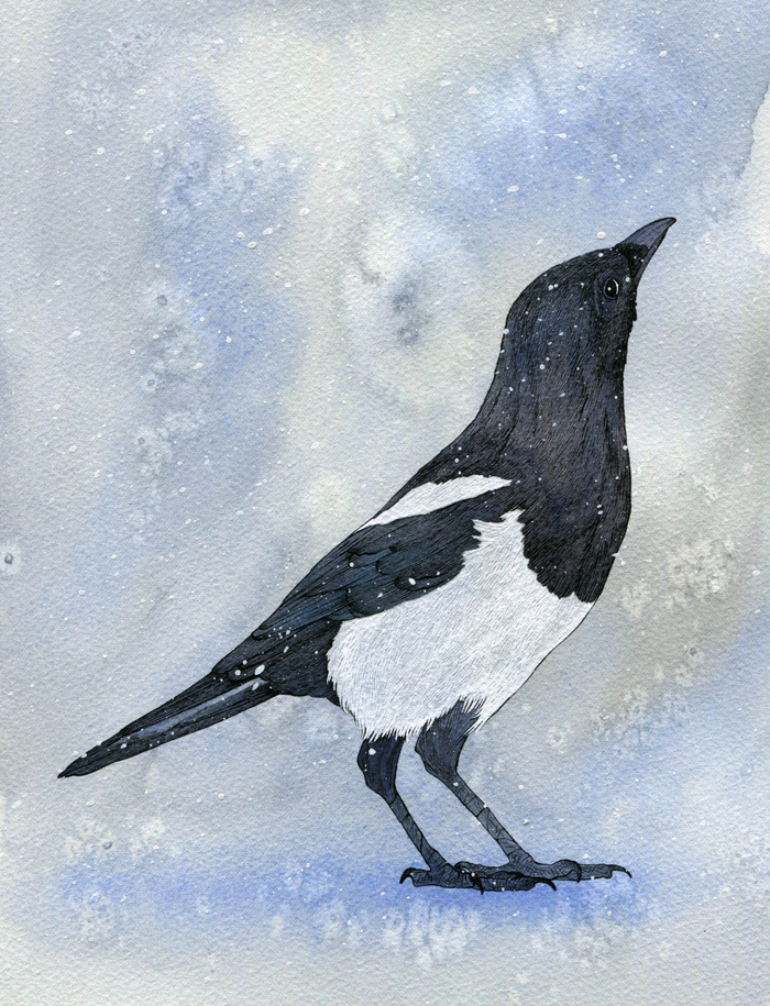 Птица зимой (2).