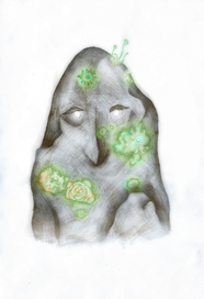 В лишайниках