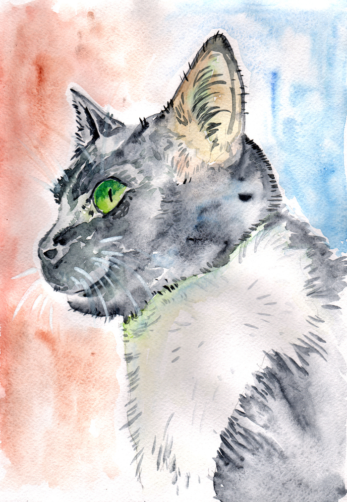 Котик - участник Марафона "Третий четверг ноября" :-)