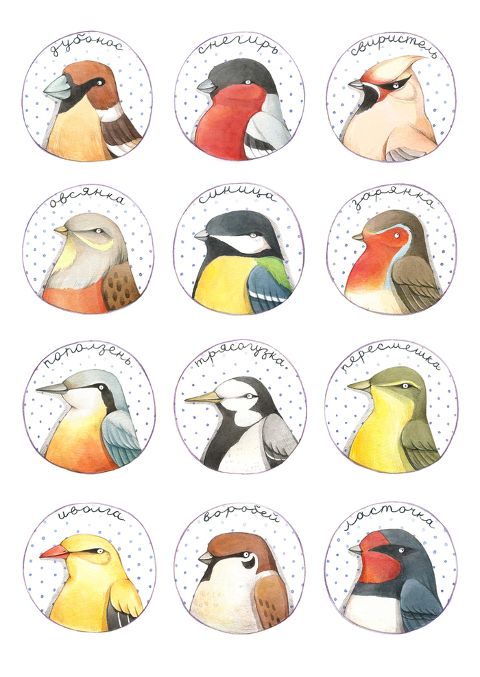 Портреты певчих птиц 