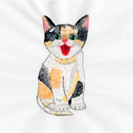 Кошка-черепашка