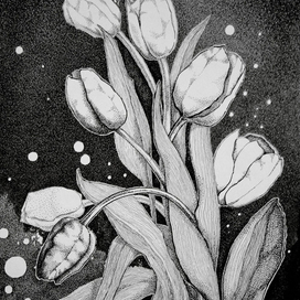 Под звездным небом