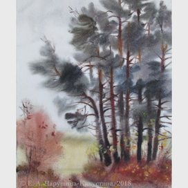 "Мокрые сосны" 