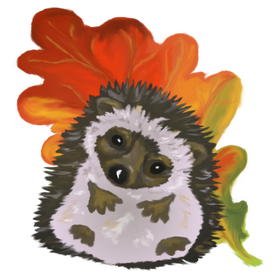 Ёжик. Осень.