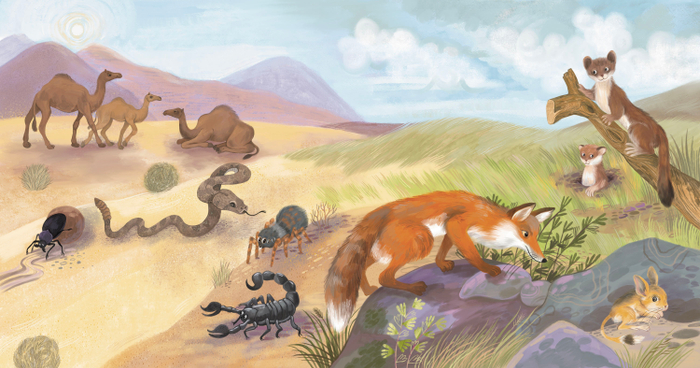 Кто где живёт. Издательство Робинс