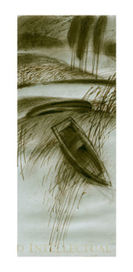 Так много большой воды