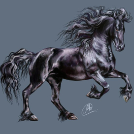 Фризская лошадь