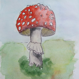 Гриб мухомор 