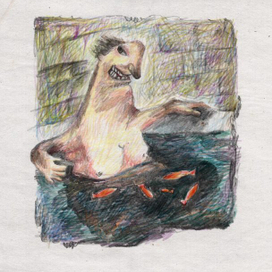 золотые рыбки