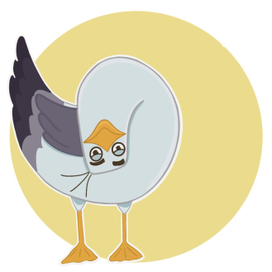 Питерская Чайка 2