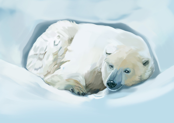 белый мишка отдыхает