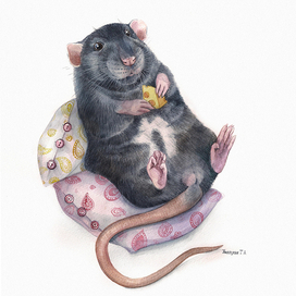 Довольный крыс