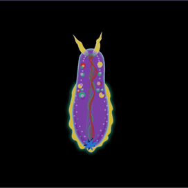 Анимация Sea slug