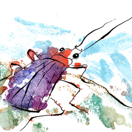 В. Бианки "Первая охота"