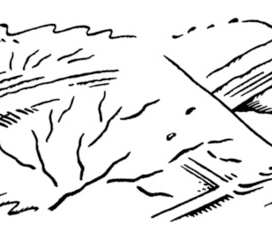  Г.Н. Айги "Время оврагов". Заставка.