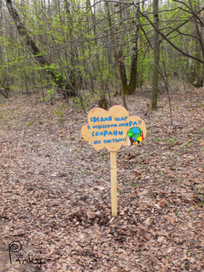 Art Object in The Forest - Cloud