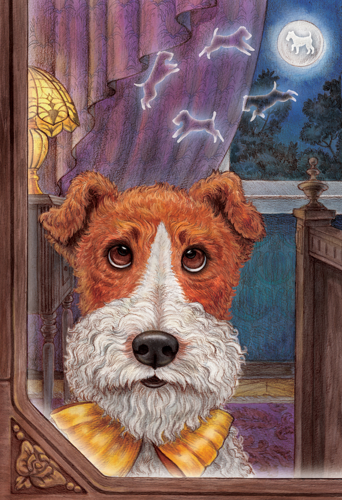 Эксперимент с глазами