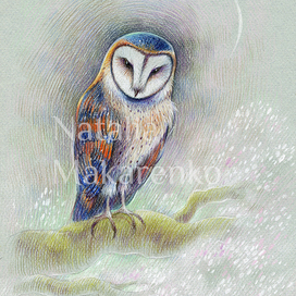 Амбарная сова