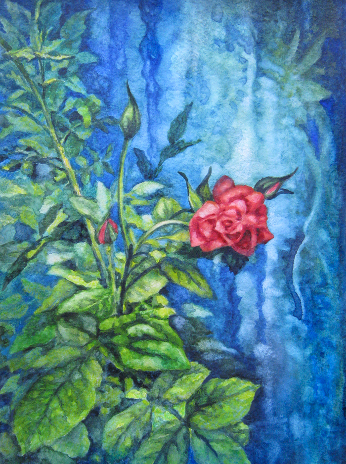 Весенней розы пробуждение