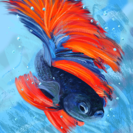Рыбка-петушок