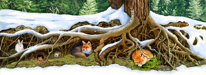 Анжела Снежкова "Чудеса живут повсюду"