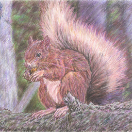 "Беличий рай".