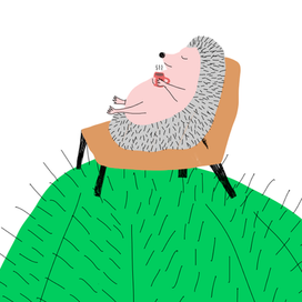 Ёж на кактусе