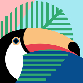 Тропические птицы - Тукан