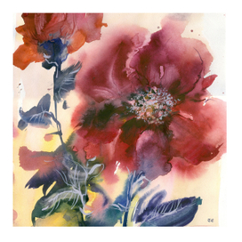 красные цветы