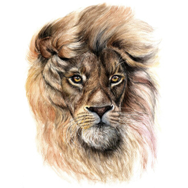 Царь зверей