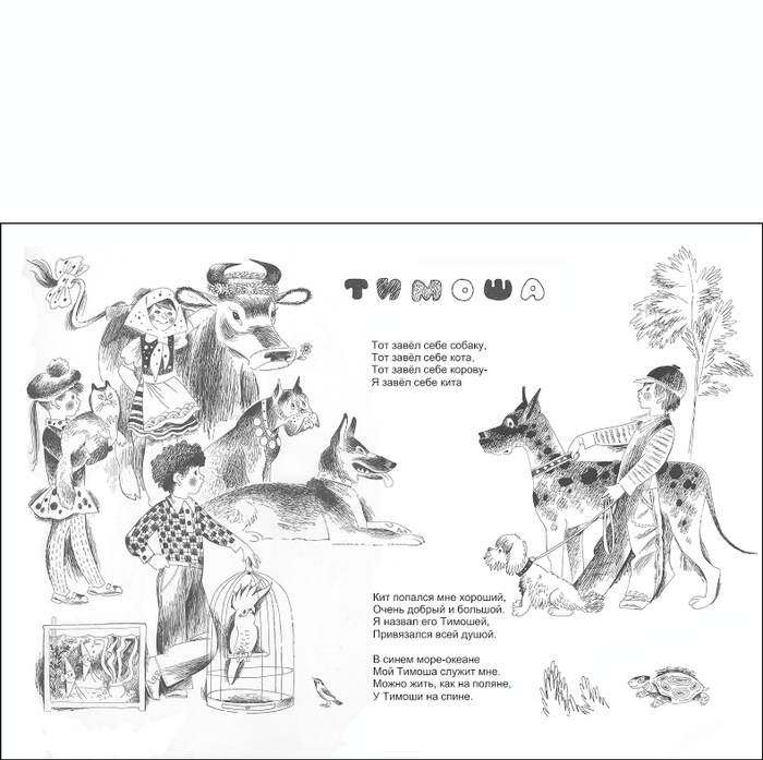 "Тимоша" средний разворот