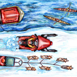 Арктические каникулы