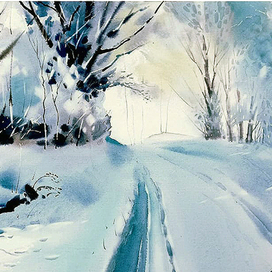 ,,Краски зимнего леса,,