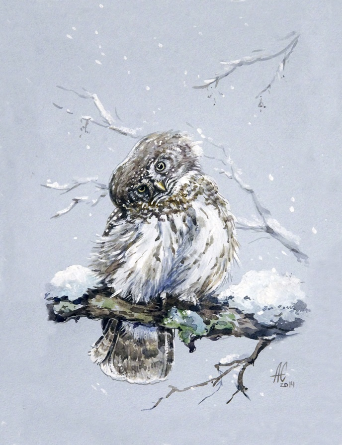 "Что принес?"