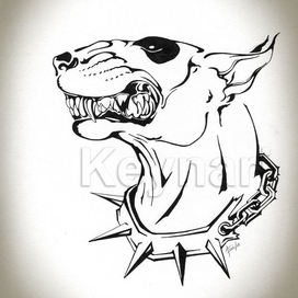 Бультерьер